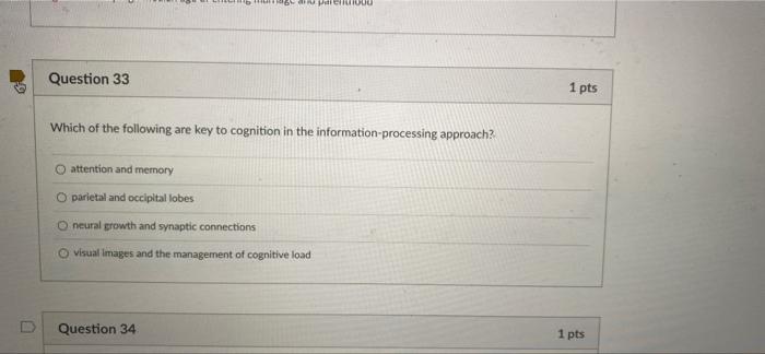 0 Question 33 U Parehu1000 Which Of The Following Are Key To Cognition In The Information Processing Approach O Attenti 1