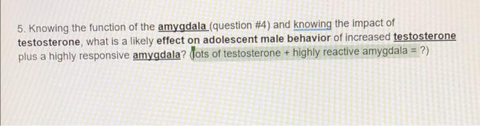 5 Knowing The Function Of The Amygdala Question 4 And Knowing The Impact Of Testosterone What Is A Likely Effect On 1