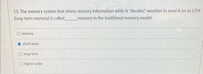 13 The Memory System That Stores Sensory Information While It Decides Weather To Send It On To Ltm Long Term Memory 1