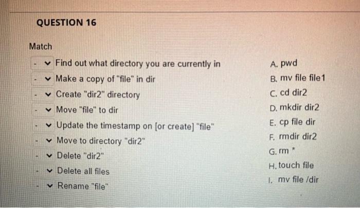 Question 16 Match Find Out What Directory You Are Currently In Make A Copy Of File In Dir Create Dir2 Directory 1