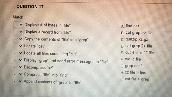 Question 16 Match Find Out What Directory You Are Currently In Make A Copy Of File In Dir Create Dir2 Directory 2