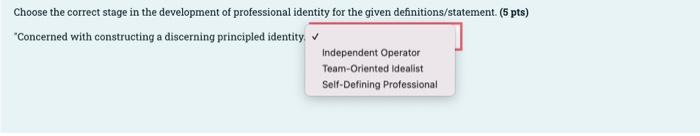 Choose The Correct Stage In The Development Of Professional Identity For The Given Definitions Statement 5 Pts Conce 1