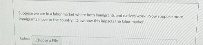 Suppose We Are In A Labor Market Where Both Immigrants And Natives Work Now Suppose More Immigrants Move To The Country 1