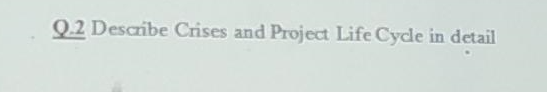 Q 2 Describe Crises And Project Life Cycle In Detail 1