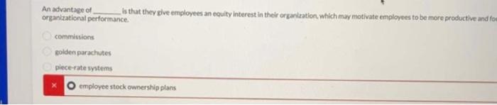 An Advantage Of Is That They Give Employees An Equity Interest In Their Organization Which May Motivate Employees To Be 1