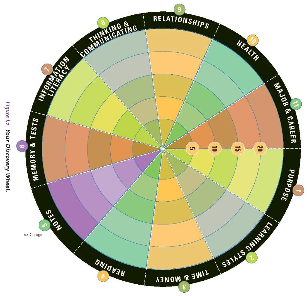 Shade The Total Scored For Each Category On The Discovery Wheel You Must Also Label The Totals Scored For Each Categ 1