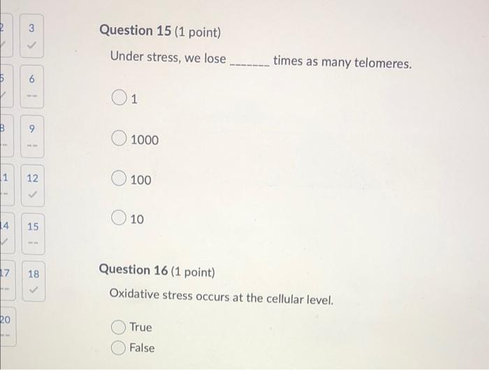 B 1 4 Ww 3 20 6 9 1 12 17 18 15 Question 15 1 Point Under Stress We Lose Times As Many Telomeres 1 10 1