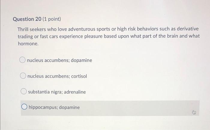 Question 20 1 Point Thrill Seekers Who Love Adventurous Sports Or High Risk Behaviors Such As Derivative Trading Or Fa 1