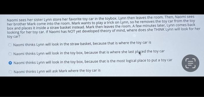 Naomi Sees Her Sister Lynn Store Her Favorite Toy Car In The Toybox Lynn Then Leaves The Room Then Naomi Sees Her Bro 1