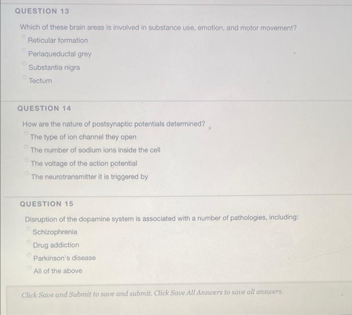 Question 13 Which Of These Brain Areas Is Involved In Substance Use Emotion And Motor Movement Reticular Formation Pe 1
