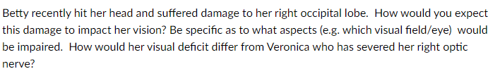 Betty Recently Hit Her Head And Suffered Damage To Her Right Occipital Lobe How Would You Expect This Damage To Impact 1