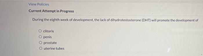 View Policies Current Attempt In Progress During The Eighth Week Of Development The Lack Of Dihydrotestosterone Dht W 1