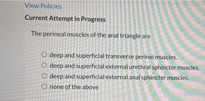 View Policies Current Attempt In Progress During The Eighth Week Of Development The Lack Of Dihydrotestosterone Dht W 3