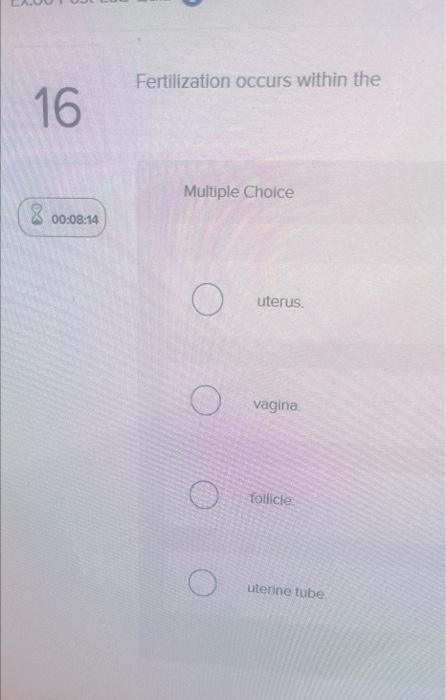 16 8 00 08 14 Fertilization Occurs Within The Multiple Choice O Uterus Vagina Follicle Uterine Tube Ex60 Post Lab Qui 1