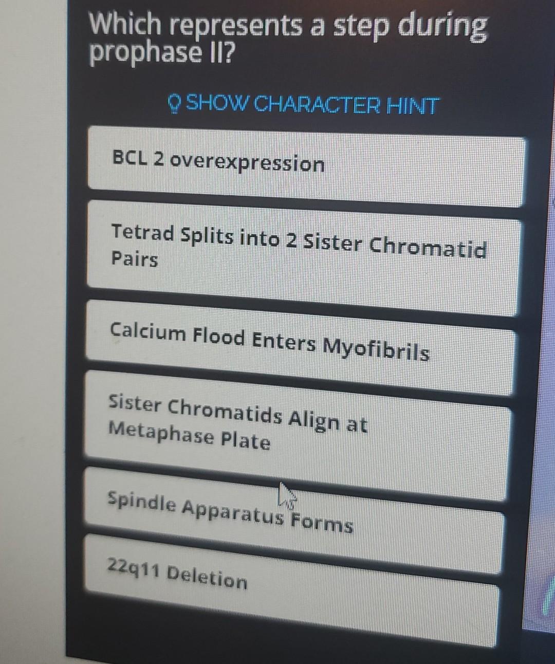 Which Represents A Step During Prophase Ii Show Character Hint Bcl 2 Overexpression Tetrad Splits Into 2 Sister Chromat 1