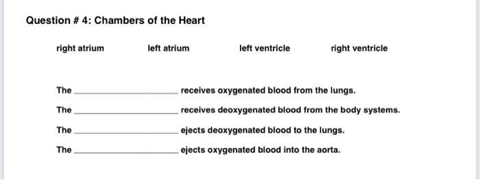 Question 4 Chambers Of The Heart Right Atrium The The The The Left Atrium Left Ventricle Right Ventricle Receives Oxy 1