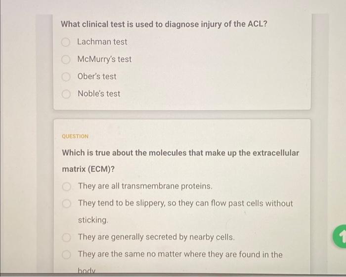 Question How Is A Rat Acl Ruptured In This Video O Repeated Loads Of Femoral Compression Single Load Of Tibial Compress 2