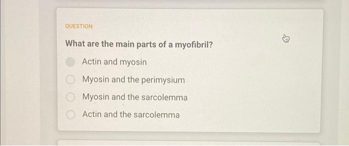 The Sarcomere Is The Functional Unit Of A Muscle Cell The Connective Fascia That Surrounds Muscle Fibers The Plasma M 2