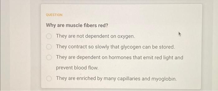 The Sarcomere Is The Functional Unit Of A Muscle Cell The Connective Fascia That Surrounds Muscle Fibers The Plasma M 4