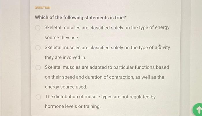 The Sarcomere Is The Functional Unit Of A Muscle Cell The Connective Fascia That Surrounds Muscle Fibers The Plasma M 5