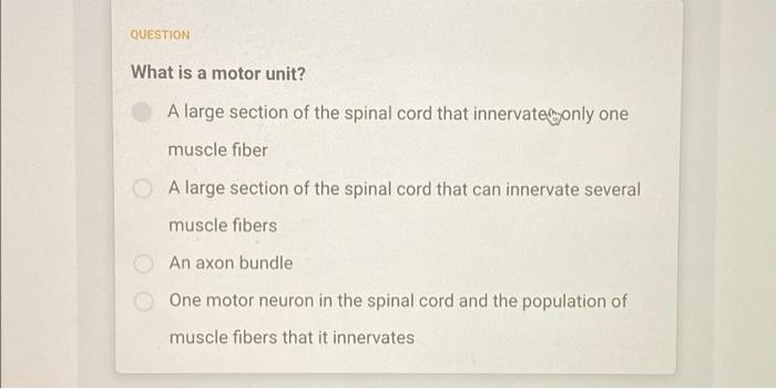 Question What Is A Motor Unit A Large Section Of The Spinal Cord That Innervate Only One Muscle Fiber A Large Section O 1