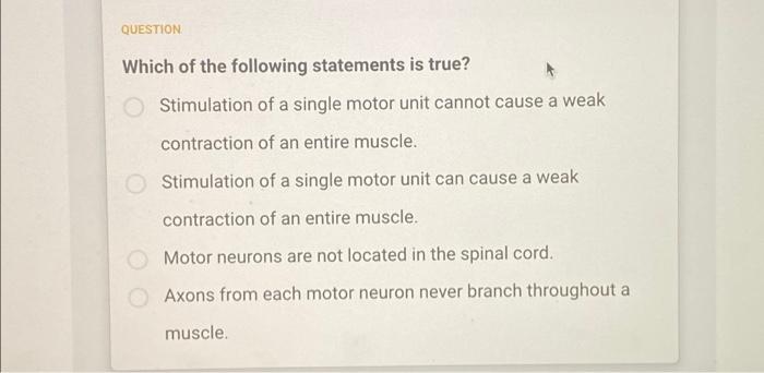 Question What Is A Motor Unit A Large Section Of The Spinal Cord That Innervate Only One Muscle Fiber A Large Section O 2