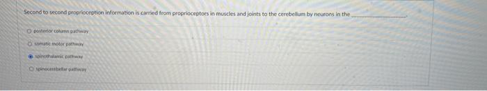 Second To Second Proprioception Information Is Carried From Proprioceptors In Muscles And Joints To The Cerebellum By Ne 1