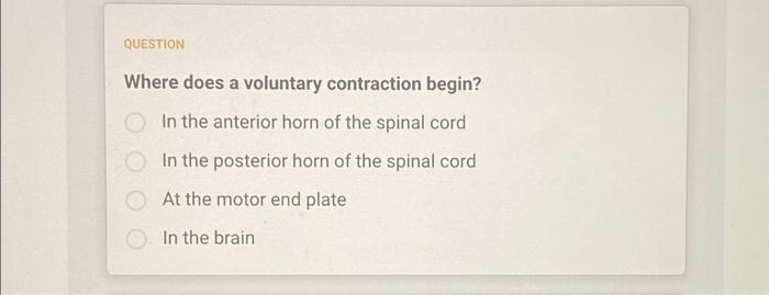 Question Where Does A Voluntary Contraction Begin In The Anterior Horn Of The Spinal Cord In The Posterior Horn Of The 1