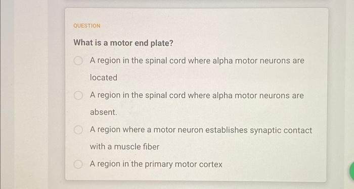 Question Where Does A Voluntary Contraction Begin In The Anterior Horn Of The Spinal Cord In The Posterior Horn Of The 3