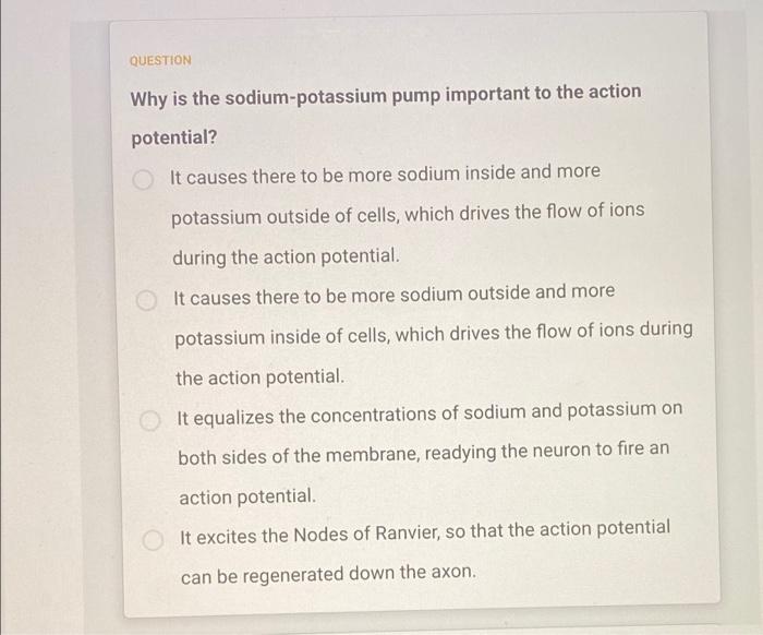 Question Why Is The Sodium Potassium Pump Important To The Action Potential It Causes There To Be More Sodium Inside An 1