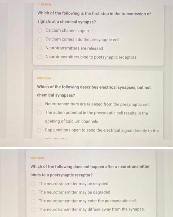 Question Which Of The Choices Below Reflects The Correct Order Of Changes In Membrane Potential As A Hypothetical Neuron 2