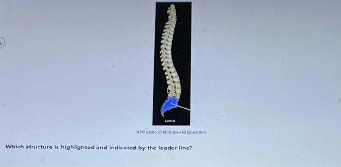 Apr Photo Mcgraw Hill Education Which Structure Is Highlighted And Indicated By The Leader Line 1
