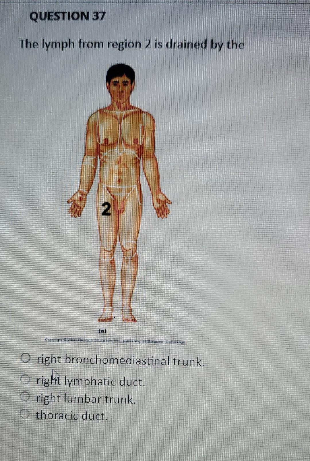Question 37 The Lymph From Region 2 Is Drained By The 2 Gurp 20 62 Ae Pedia A Da Una Luzeul O Right Bronchomediastinal 1