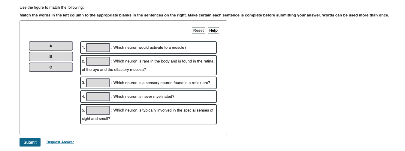 Use The Figure To Match The Following Match The Words In The Left Column To The Appropriate Blanks In The Sentences On 1