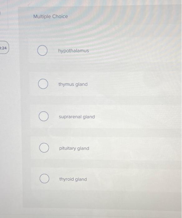 Which Structure Is Highlighted 1 24 Multiple Choice O O O O Hypothalamus Thymus Gland Suprarenal Gland Pituitary Gland 2