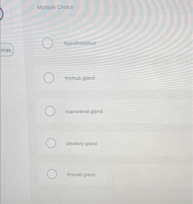 0 Which Structure Is Highlighted 17 20 Multiple Choice O O O O Hypothalamus Thymus Gland Suprarenal Gland Pituitary Gl 2
