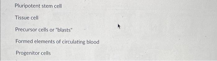 Pluripotent Stem Cell Tissue Cell Precursor Cells Or Blasts Formed Elements Of Circulating Blood Progenitor Cells 1