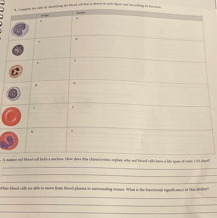 1 Complete The Table By Identifying The Blood Cell That Is Shown In Each Figure And Describing Its Function Fbaca 9 L 1