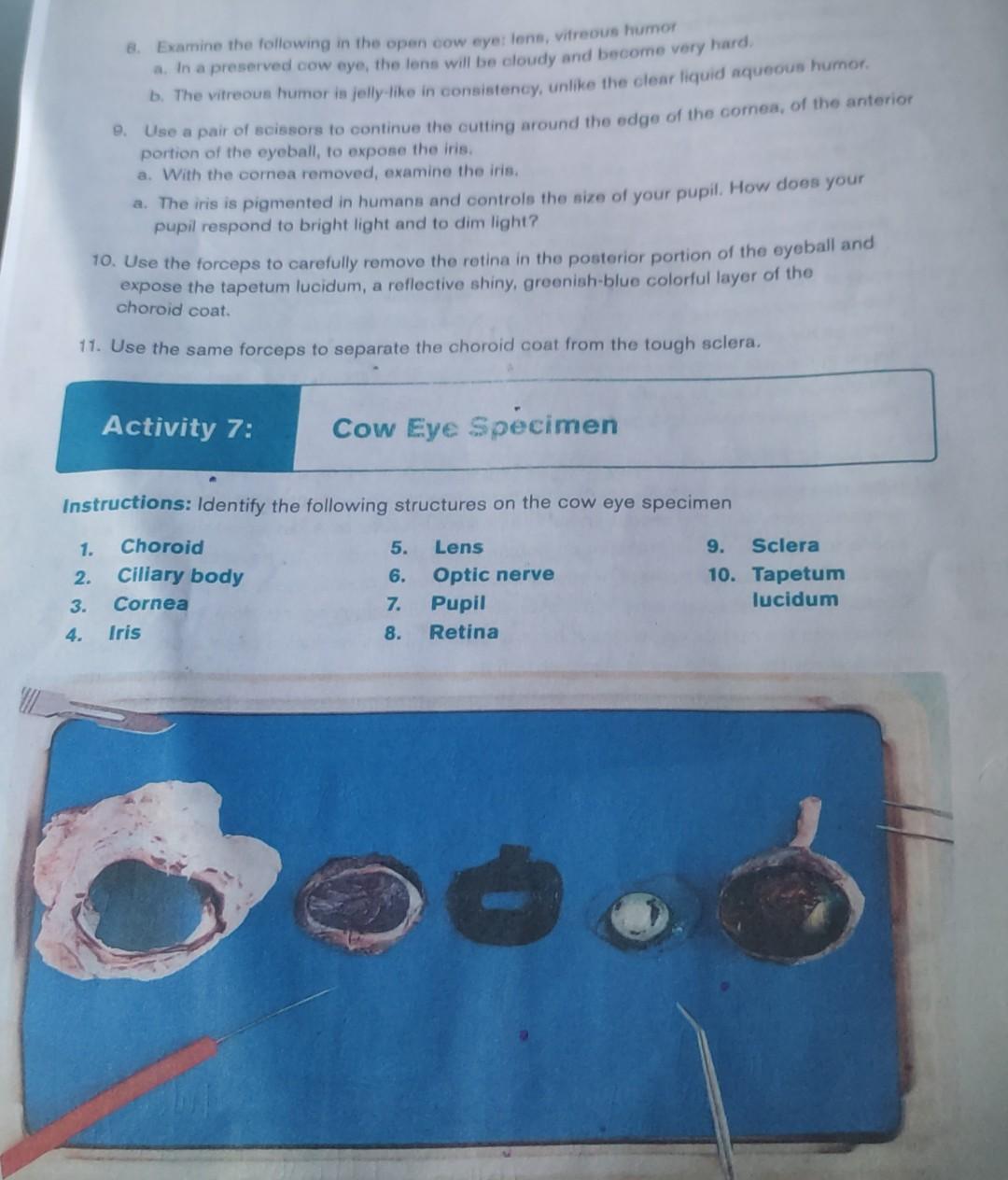 Please Help With Labelling Thank You 1