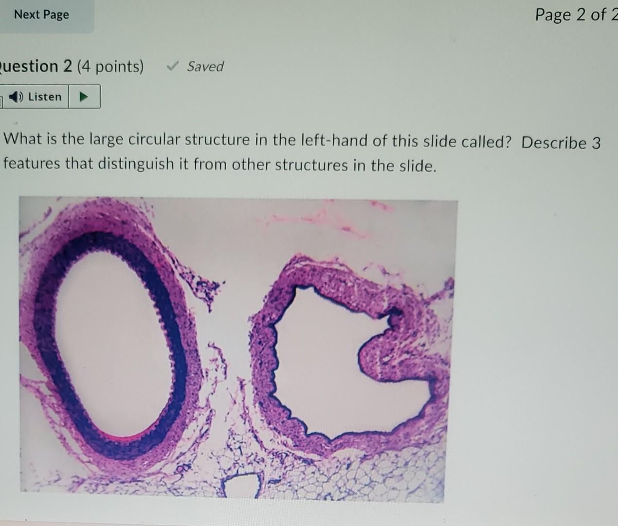 Next Page Question 2 4 Points Listen Saved Page 2 Of 2 What Is The Large Circular Structure In The Left Hand Of This S 1