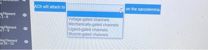 1 Ig Filament 1 6 Ng Filament 7 9 Ing Filament Ps 10 13 Ach Will Attach To Voltage Gated Channels Mechanically Gate 1