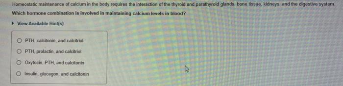 Homeostatic Maintenance Of Calcium In The Body Requires The Interaction Of The Thyroid And Parathyroid Glands Bone Tiss 1