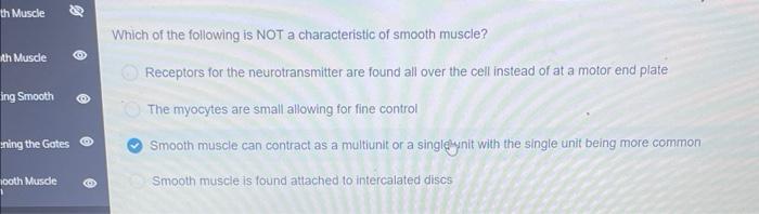 Th Muscle Th Muscle Ing Smooth Ning The Gates Ooth Muscle Which Of The Following Is Not A Characteristic Of Smooth Mus 1