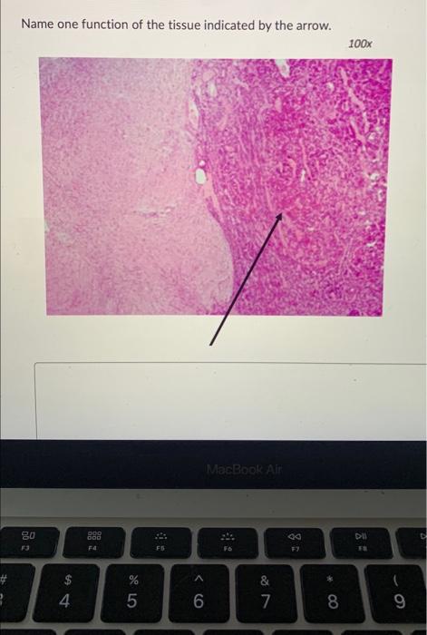 102201 Human Left 0 56 01 Question 6 2 Points 4 Listen Question 7 2 Points 80 E D This Slide Is Made From Which Orga 2