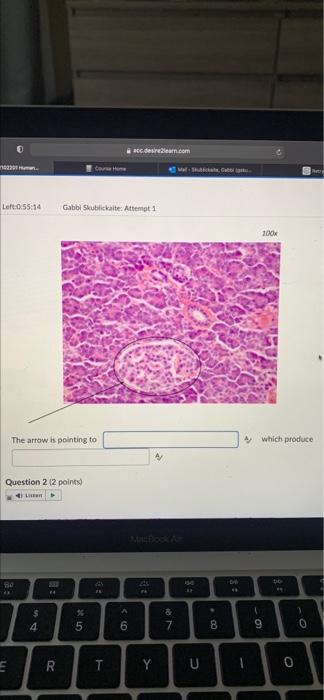 102201 Human Left 0 56 01 Question 6 2 Points 4 Listen Question 7 2 Points 80 E D This Slide Is Made From Which Orga 6