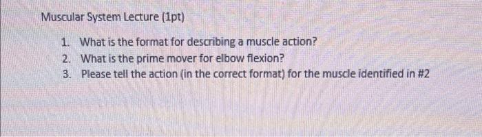 Muscular System Lecture 1pt 1 What Is The Format For Describing A Muscle Action 2 What Is The Prime Mover For Elbow 1