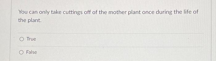 The Main Reason To Use Vegetative Propagation Instead Of Using Seed Which Is Much Easier Is To O Work More Inside Or I 2