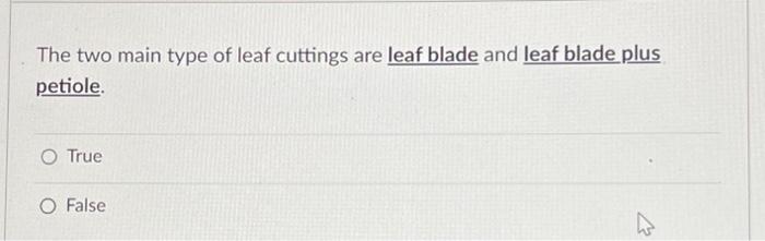 The Main Reason To Use Vegetative Propagation Instead Of Using Seed Which Is Much Easier Is To O Work More Inside Or I 3