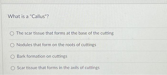 What Is The Proper Temperature Range For Most Cuttings To Root O 80 90 F O 30 45 F O 65 78 F O No Answer Text Provided 2