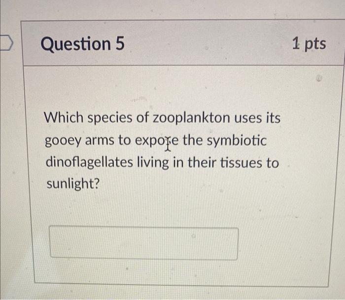 Question 5 Which Species Of Zooplankton Uses Its Gooey Arms To Expore The Symbiotic Dinoflagellates Living In Their Tiss 1
